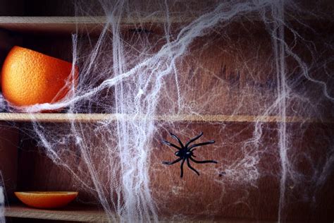 Spooky Halloween Spider Web Background Stock Image - Image of editorial ...