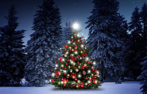 Snowy Christmas Tree - Photos All Recommendation