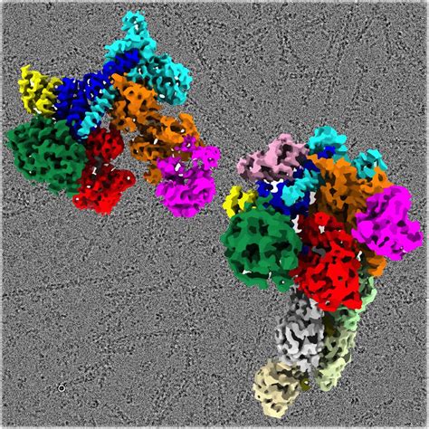 Study revealing structure of a protein complex may open doors to better ...