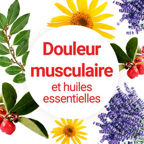 Comment soulager les douleurs musculaires avec les huiles essentielles