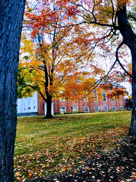 PHOTOS: Fall foliage across western Massachusetts | WWLP