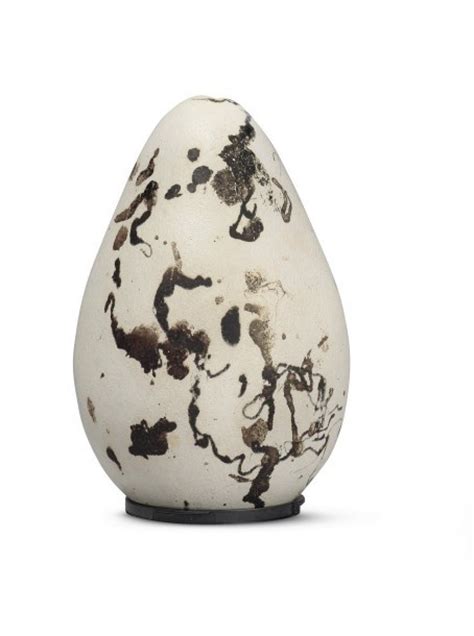 An Egg of the Extinct Great Auk | Natural History | 2021 | Sotheby's