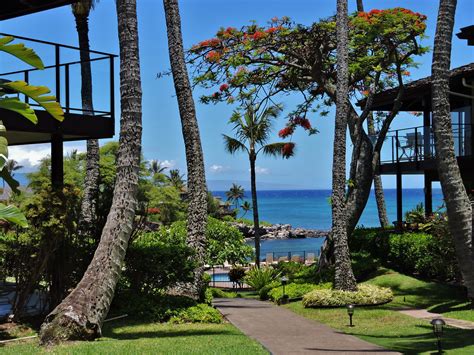 Napili Point Resort - walkway to pool and ocean! | Maui condo, Maui hotels, Napili point resort