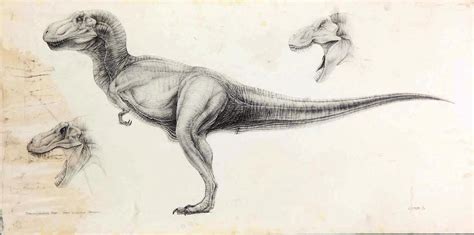 Jurassic Park T Rex Drawing at GetDrawings | Free download