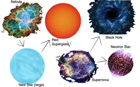 Life Cycle of a large Star | My Digital Immersion/science blog | Life ...