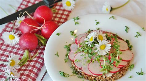 Tomato Salad With Olive Oil · Free Stock Photo