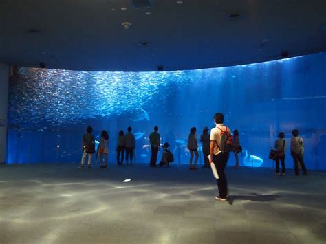 Port of Nagoya Aquarium