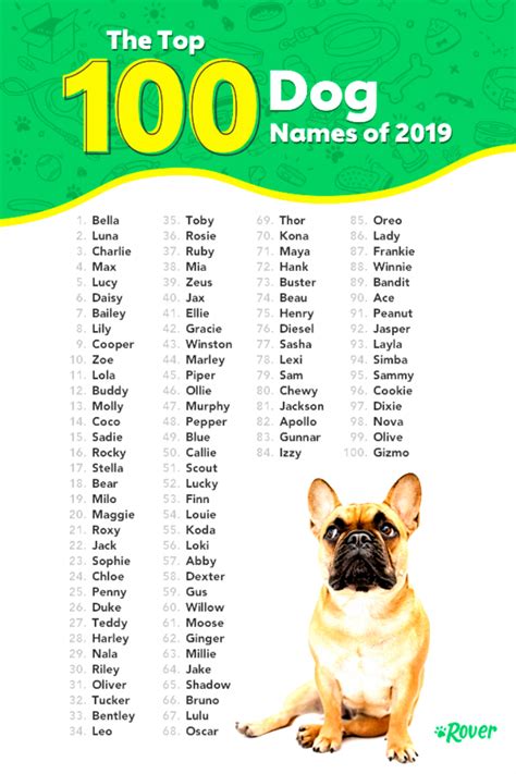 10 Best Dog Names