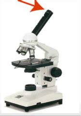 Parts of a Microscope Quiz | Quizlet