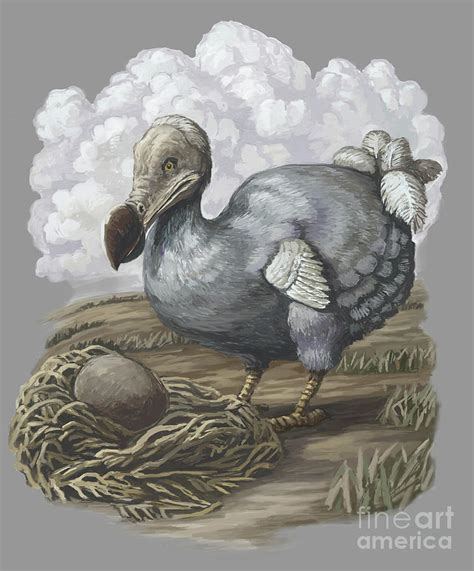 Dodo Bird, Illustration Photograph by Spencer Sutton - Fine Art America