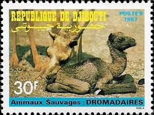 Stamp: Dromedary (Camelus dromedarius) (Djibouti(Wildlife (1987)) Mi:DJ 492,Sn:DJ 629,Yt:DJ 634 ...