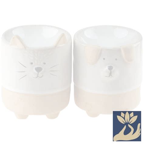 two white cat and dog salt and pepper shakers on a white background with a blue flower