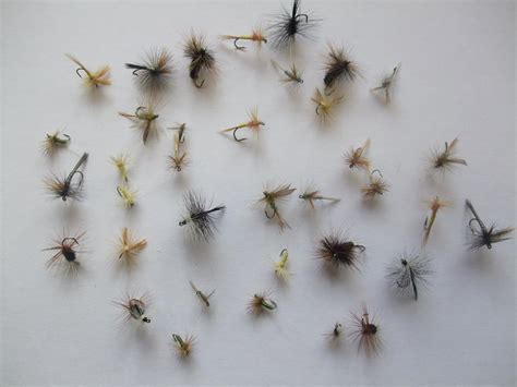 36 DRY FLIES - SELECTION - FOR TROUT FLY FISHING: Amazon.co.uk: Sports ...