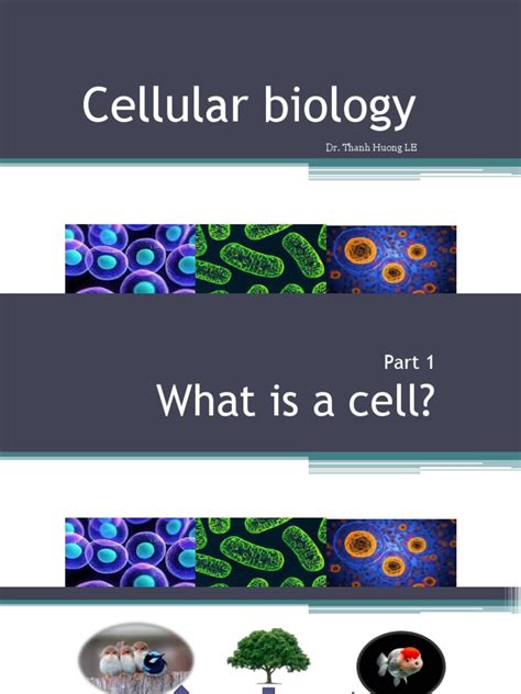 Cellular Biology | PDF | Cell (Biology) | Plants