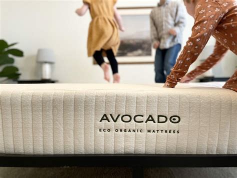 Honest Avocado Eco Organic Mattress Review (After 1 Year of Use) - The Filtery