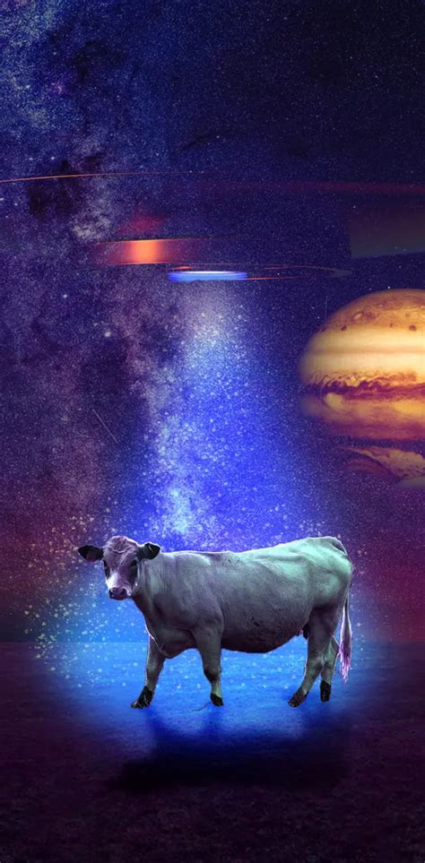 Space Cow wallpaper by NEDAH - Download on ZEDGE™ | 17c2