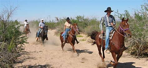 Things to do - The mojave desert