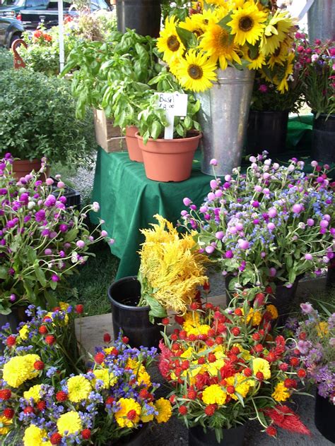 Farmer's Market flowers | Farmers market flowers, Flower boutique, Flowers