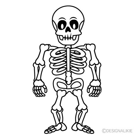 Skeleton Cartoon