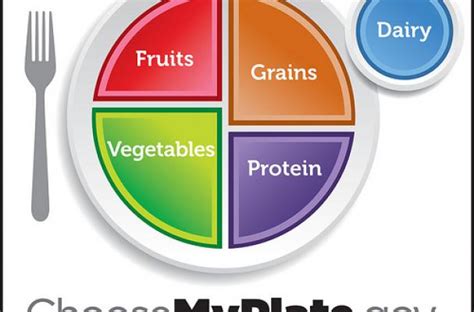 Foodista | Introducing ChooseMyPlate.gov