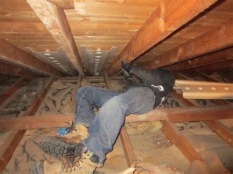 Toronto Eavestroughing: Attic Insulating In Toronto