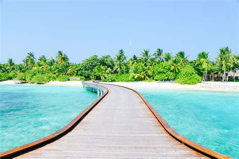 Tropical Island Life In The Maldives | Island life, Maldives travel, Maldives