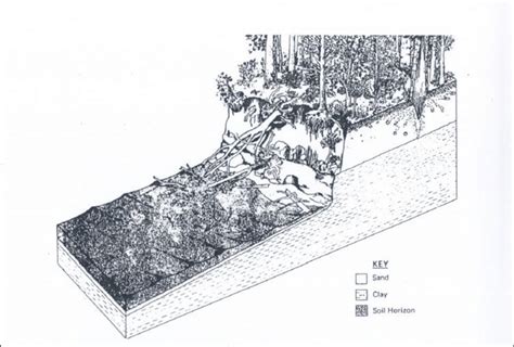 1: Riverbank Erosion Sketch (Hardaway et.al, 1992) | Download Scientific Diagram