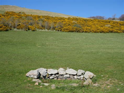 Spring at the site of the medieval... © James T M Towill :: Geograph Britain and Ireland
