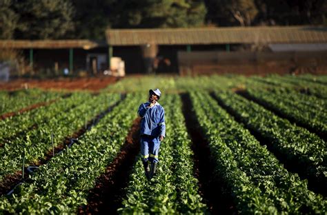 Overcoming the barriers to technology adoption on African farms