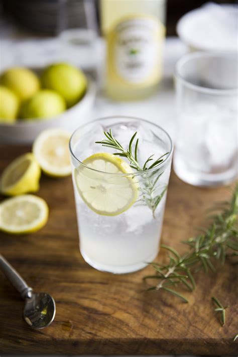 Gin & tonic with lemon cordial & rosemary recipe | Drizzle and Dip