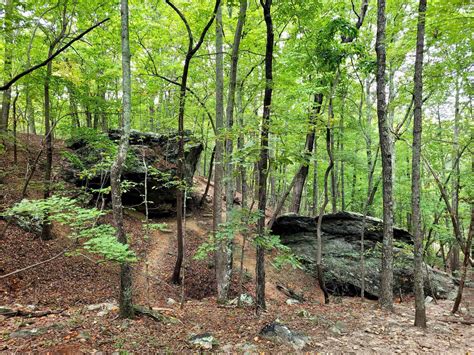 Pilot Mountain Hiking Trails: Everything You Need to Know » Trying to Unwind