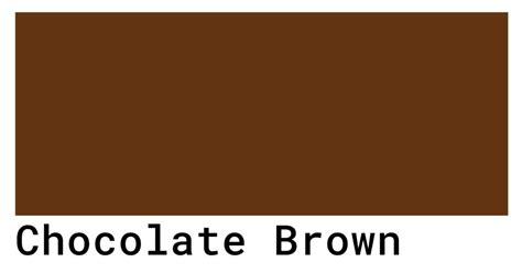 Chocolate Color Swatch