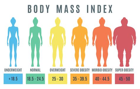 Definition Of Morbid Obesity By Bmi - Aljism Blog