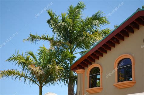 Palm trees and house — Stock Photo © haak78 #5160624