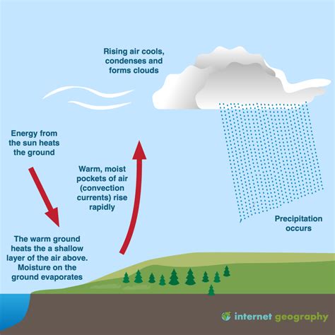 Draw A Labelled Diagram Of Conventional Rainfall | Porn Sex Picture