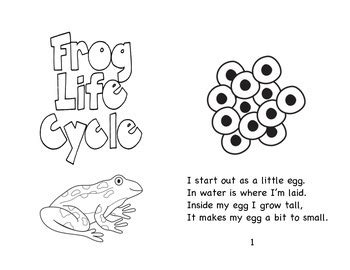 Frog Life Cycle Book by Brook | Teachers Pay Teachers