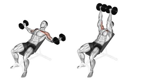 Upper Chest Dumbbell exercises for Building a Broad, Strong Pecs - Fit ...