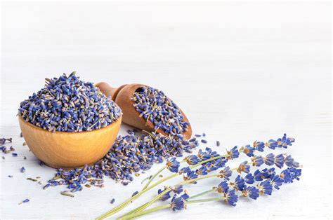 Lavender for Sleep: Will It Help You Get Better Sleep?