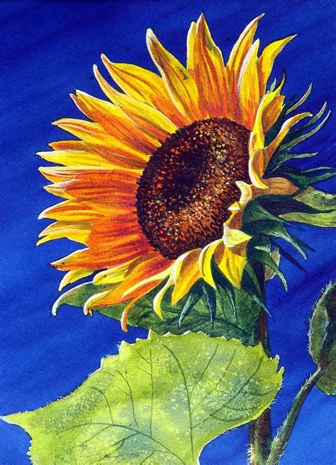Sunflower watercolor painting, Watercolor sunflower, Beautiful flower drawings