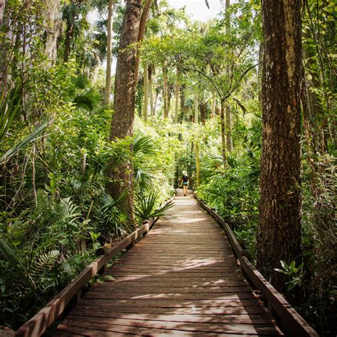 Must Do Hikes in Lake County – Visit Lake – Lake County, FL Tourism Blog