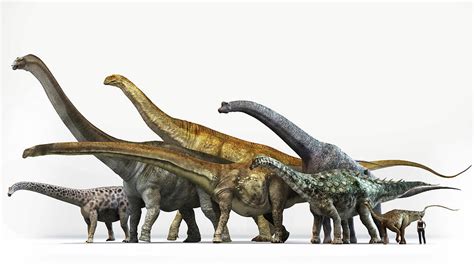 Size Comparison Of Sauropod Dinosaurs Photograph by Jose Antonio Penas - Pixels