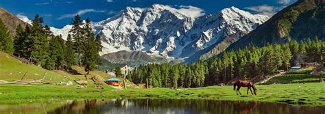 Fairy Meadows Trek - Adventure Center Pakistan