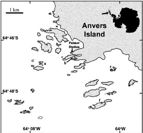 Map of collection sites in the archipelago surround- ing Palmer ...