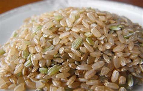 How To Grow Rice At Home | Eco Snippets