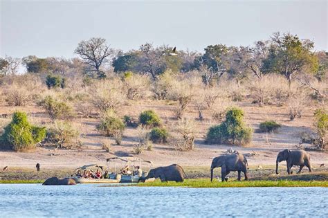 The Top 12 National Parks to Visit in Africa