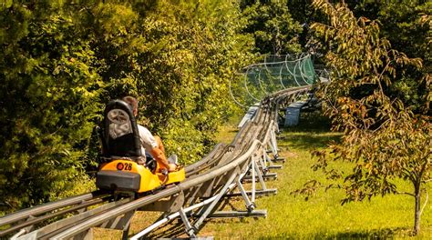 Visit Smoky Mountain Alpine Coaster in Pigeon Forge | Expedia