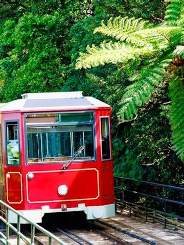 Book Peak Tram Hong Kong Tickets 2023 | Best Deals