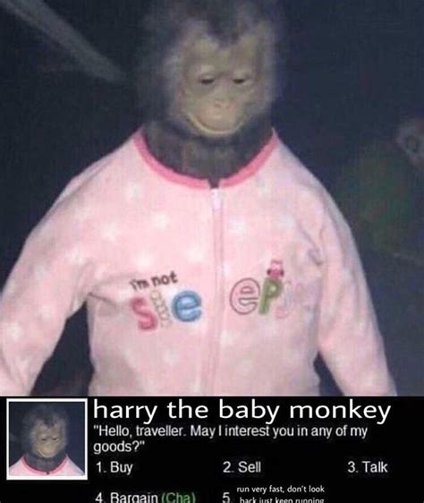 cursed_baby_monke : r/cursedimages