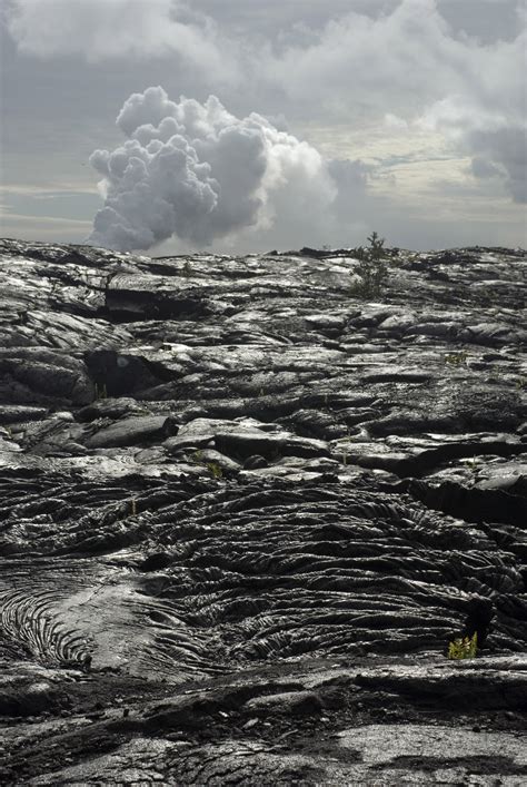 Free Stock photo of Lava Fields in Volcanoes National Park | Photoeverywhere