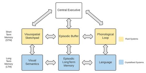 Baddeley and Hitch model of working memory | Download Scientific Diagram